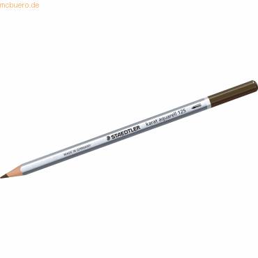 Farbstift karat aquarell sepia coloriert-0