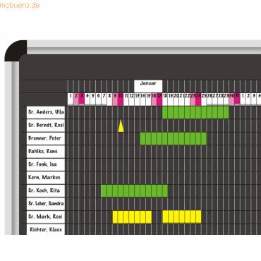 Urlaubsplaner Set Planrecord Stecktafel B1700xH520mm für max. 35 Mitarbeiter-0