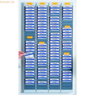 Chipkartentafel C mit 45mm Sichtbereich H840xB115xT21mm anthrazit 13 Taschen-0