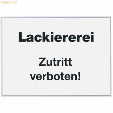 Beschriftungsfenster 105x148mm selbstklebend PP-0