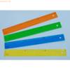 Lineal Ice 30cm farbig sortiert