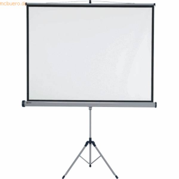 Stativ-Leinwand 150x113,8cm grau