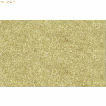 Elefantenhaut 110g/qm A4 VE=100 Blatt chamois-0