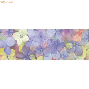 Transparentpapier 115g/qm 50x61cm Flora Hortensie