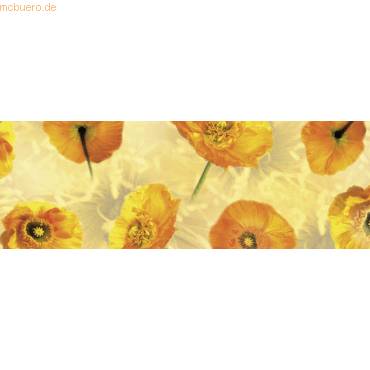 Transparentpapier 115g/qm 50x61cm Flora Islandmohn