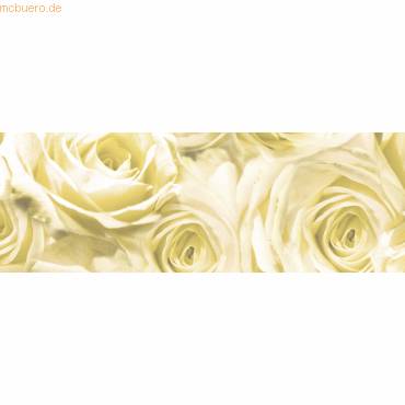 Transparentpapier 115g/qm 50x61cm Rosen champagner-0