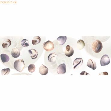 Transparentpapier Rolle 115g/qm 50x61cm Maritim Nautilus-0