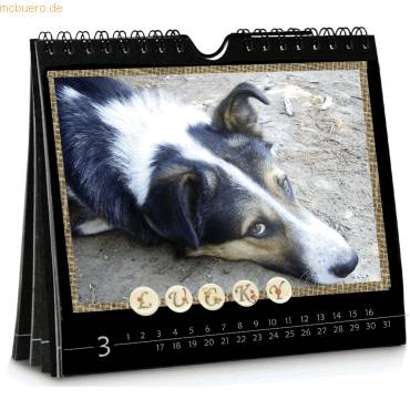 Wand- und Tischkalender 14x16,5cm schwarz-1