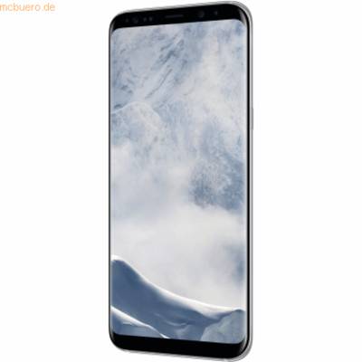 Samsung Galaxy S8 Plus 64 GB Single-Sim Arctic Silver Neu