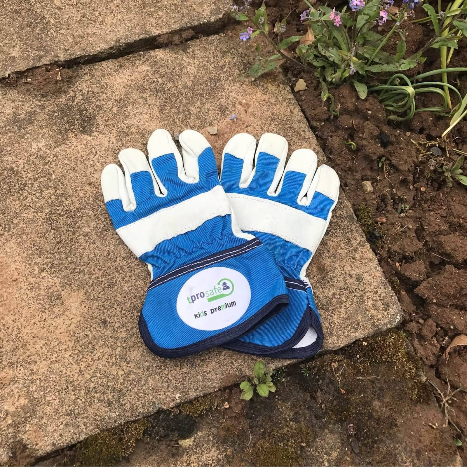 tprosafe Kinderhandschuh kids premium blau-grau 12 Paar-2