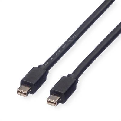 ROLINE DisplayPort Kabel, Mini DP ST - Mini DP ST, schwarz, 2 m