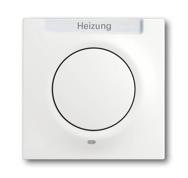 Busch-Jaeger Zentralscheibe stws mt 1789