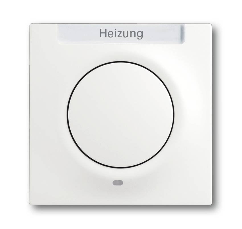 Busch-Jaeger Zentralscheibe stws mt 1789-0