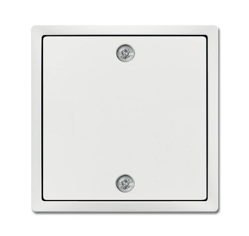 Busch-Jaeger Zentralscheibe stud-ws/mt 1796-884-0