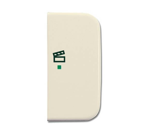 Busch-Jaeger Wippe 1-fach, Symbol Licht 6233-22-2