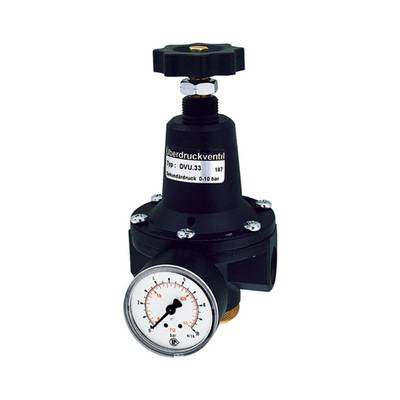 RIEGLER Druckbegrenzungsventil, inkl. Manometer, G 1/2, Einstellbereich 0,5 - 5,5 bar, Mediums-/Umgebungstemp. max. 60 °-0