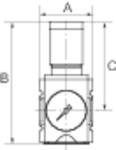 RIEGLER Druckregler »FUTURA«, inkl. Manometer, BG 1, G 1/4, PE max. 16 bar, Temp. -10 °C bis 50 °C, Regelbereich 0,1 - 2-1