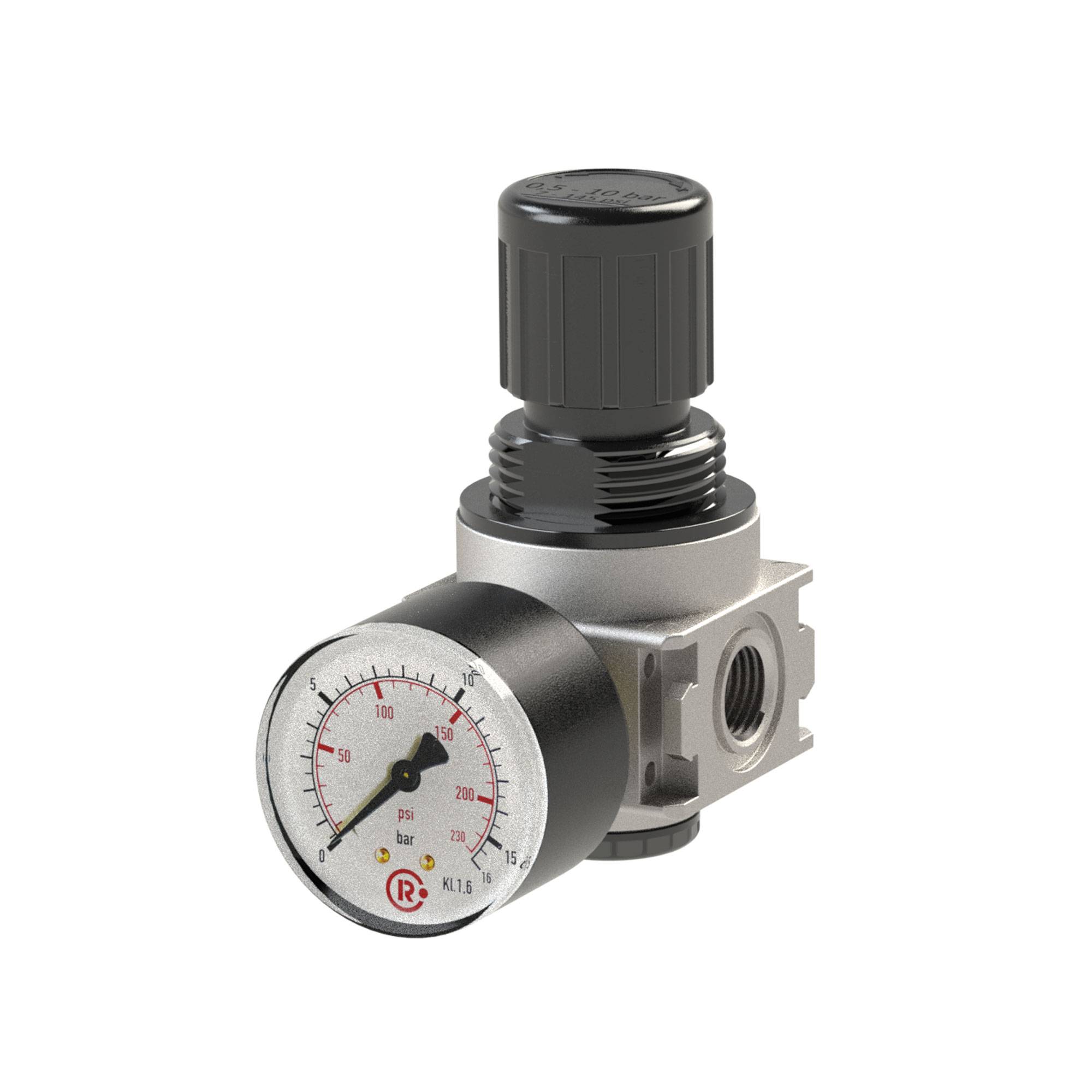 RIEGLER Druckregler »multifix-mini«, inkl. Manometer, BG 0, G 1/4, PE max. 16 bar, Med.-Umgeb.temp. max. 60 °C, Regelber-0