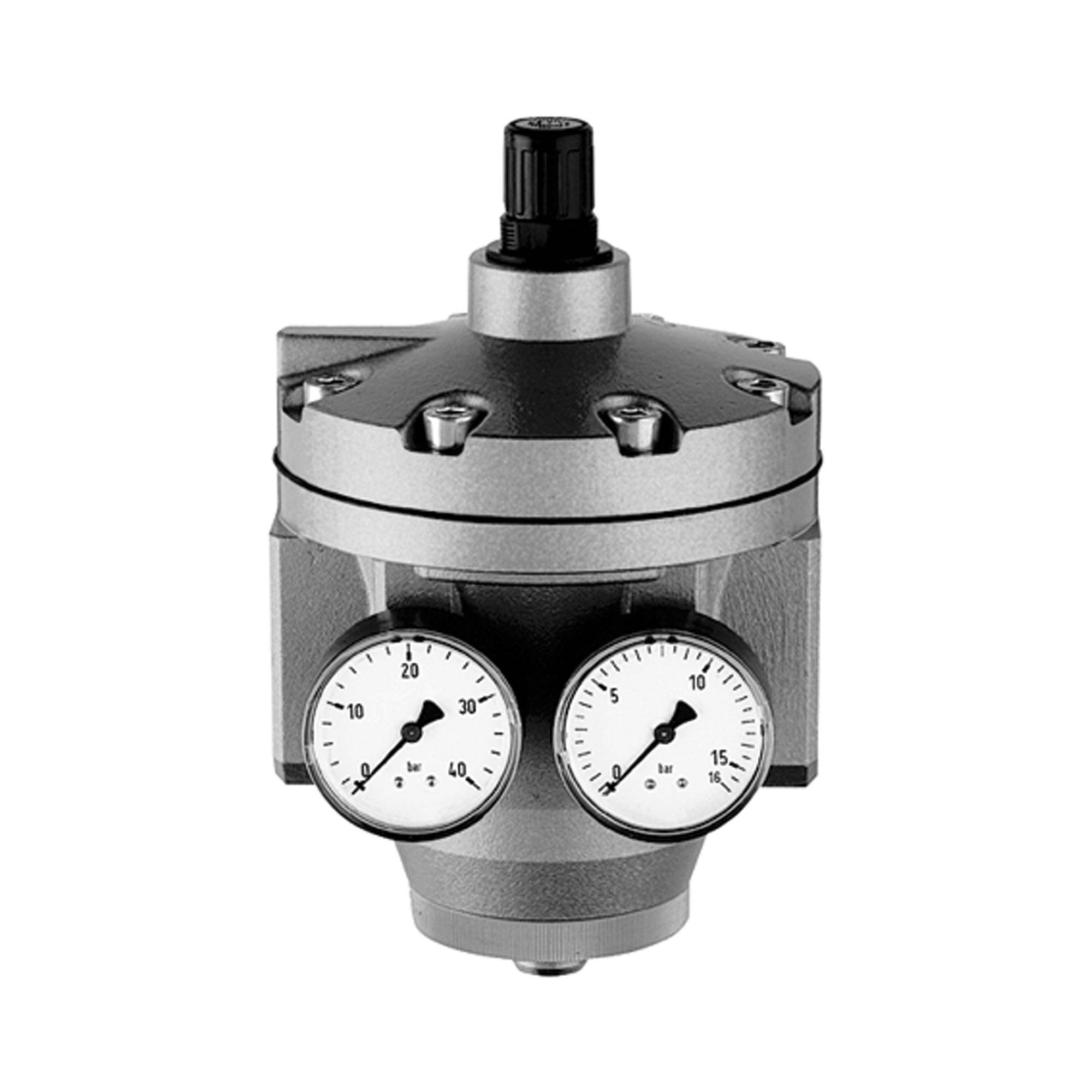 RIEGLER Hochleistungsdruckregler mit 2 Manometern, G 1 1/2, Regelbereich 0,5 - 10 bar, PE max. 25 bar, Mediums-Umgebungs-0