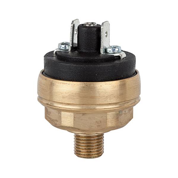 RIEGLER Druckschalter Niederdruckbereich, Messing, V 42, Umgebungstemp. - 25 °C bis 85 °C, M10x1, Einstellbereich 0,2 -