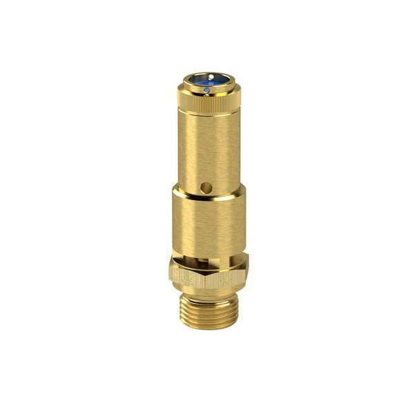 RIEGLER Sicherheitsventil DN 10, Messing, Betriebstemperatur -25 °C bis 180 °C, G 3/4, SW 32, Ansprechdruck 11 bar, baum