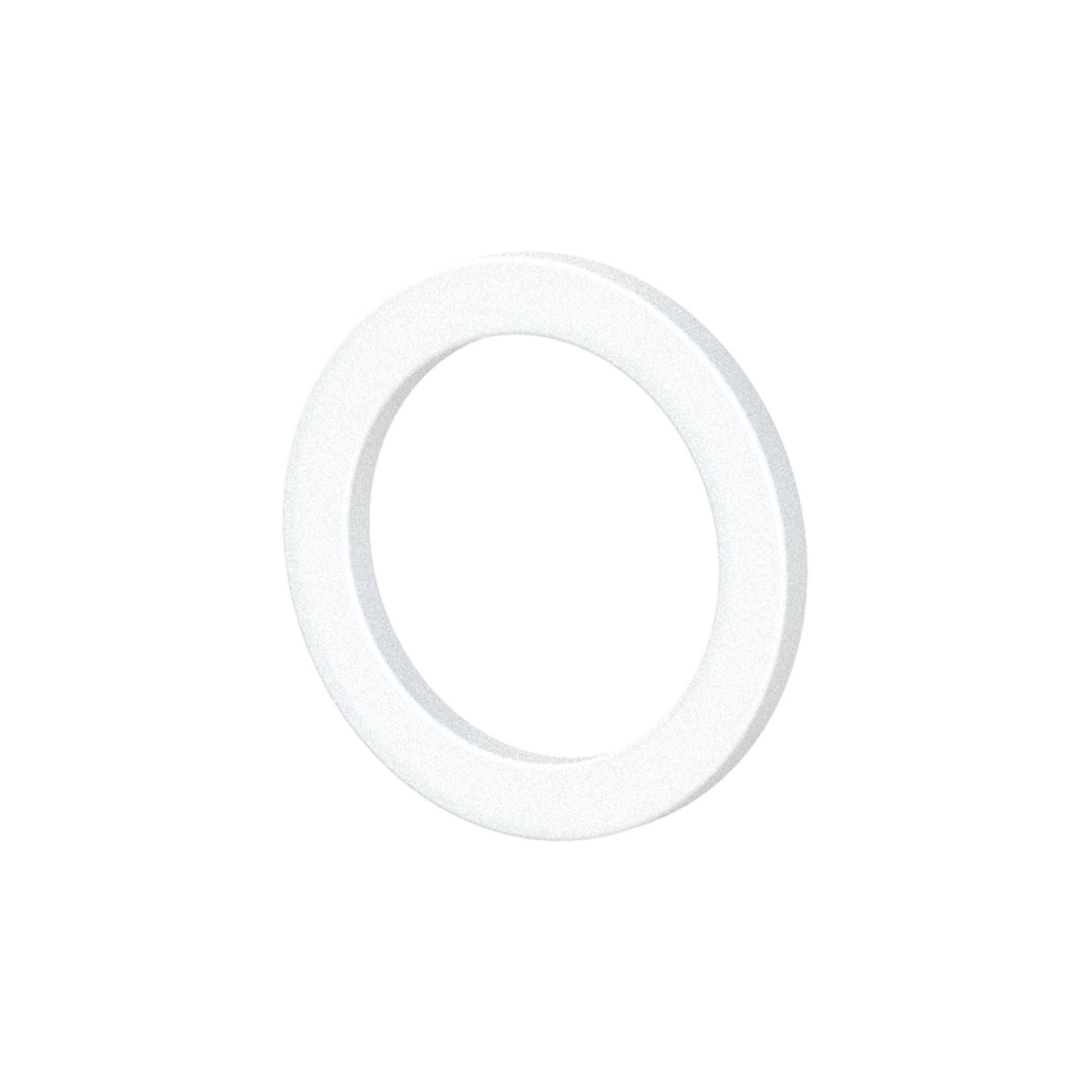 RIEGLER Dichtring aus PTFE, Temperatur max. 260 °C, für Gewinde G 3/4, VPE 100 Stk..-0