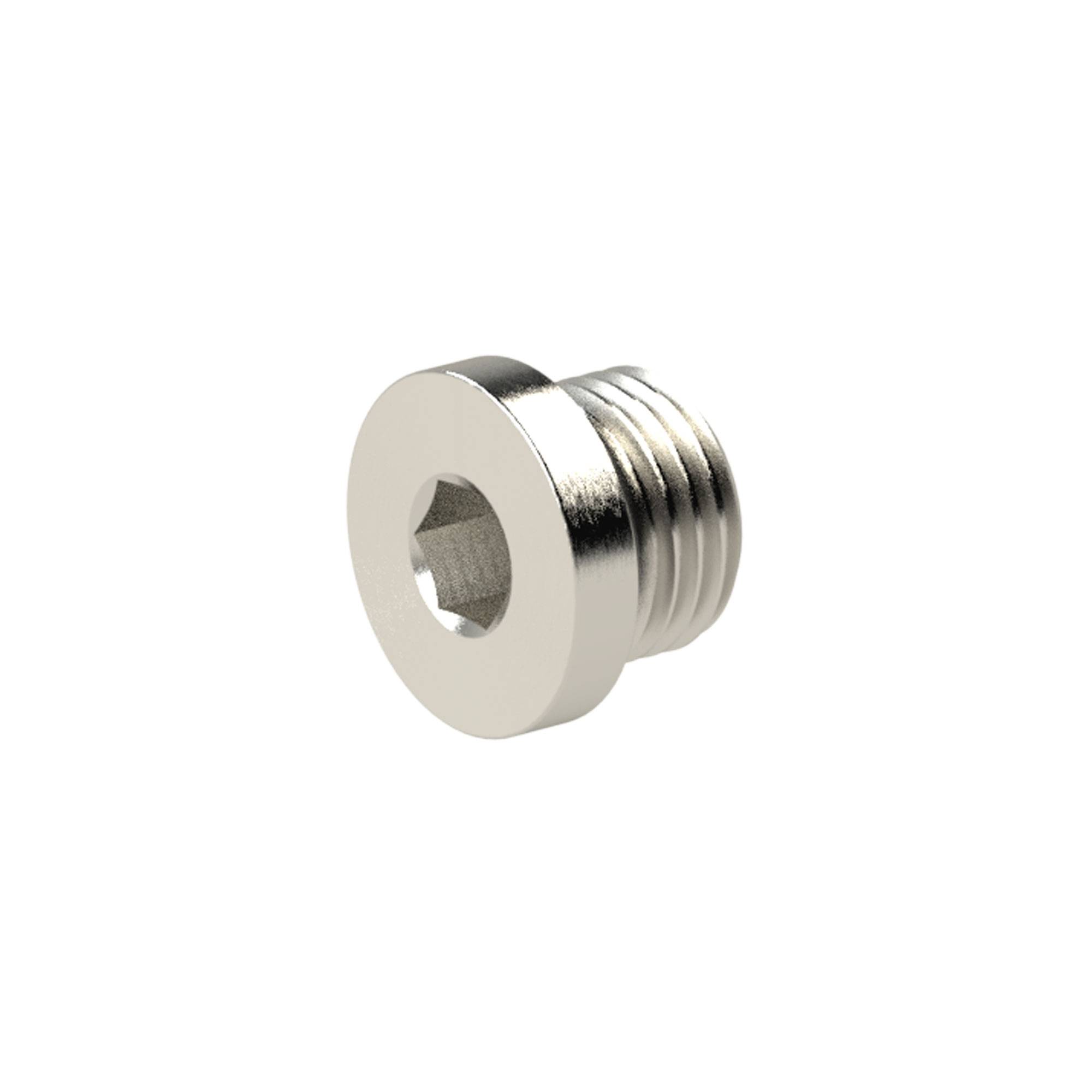 RIEGLER Verschlussstopfen, O-Ring »value line«, M5, Innensechskant 2,5 mm, Betriebsdruck max. 60 bar, Betriebstemp. max.-0