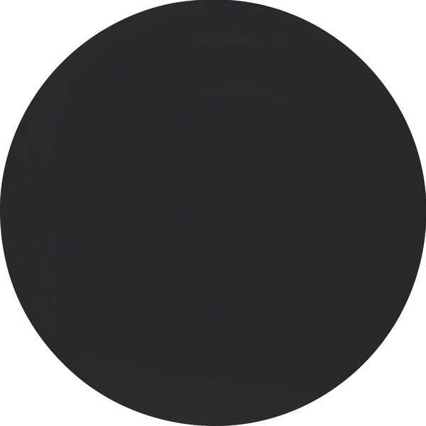Berker Wippe 16202045 schwarz glänzend-1
