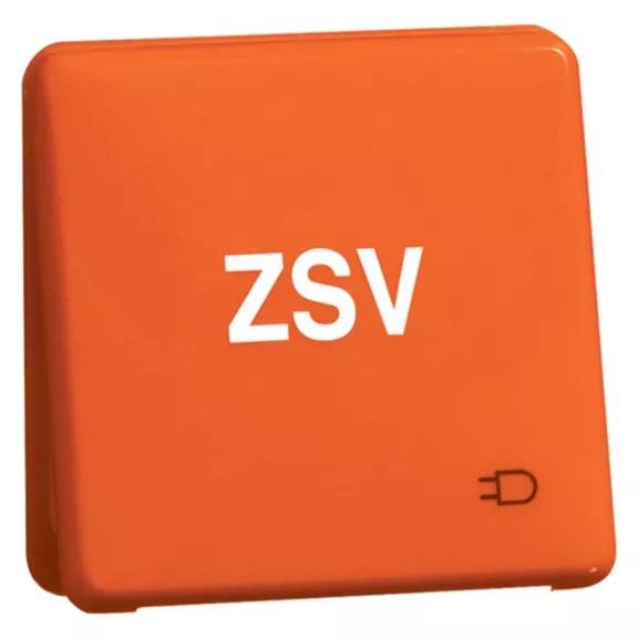 Peha Steckdose D80.6611K WU OR ZSV-0