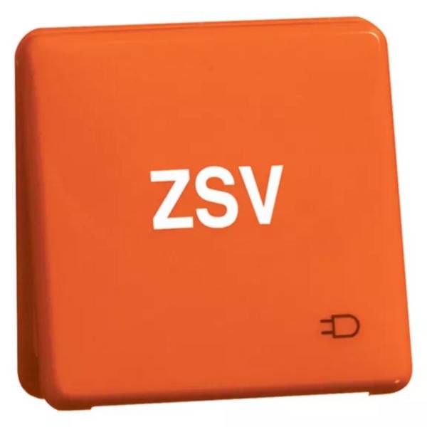 Peha Steckdose D80.6611K WU OR ZSV