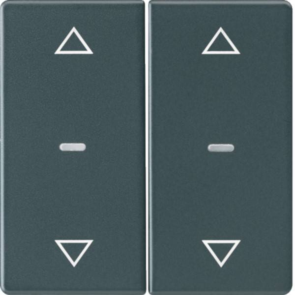 Berker Abdeckung Tastsensor-Modul 2-fach anthrazit 80961326