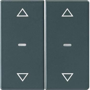 Berker Abdeckung Tastsensor-Modul 2-fach anthrazit 80961326