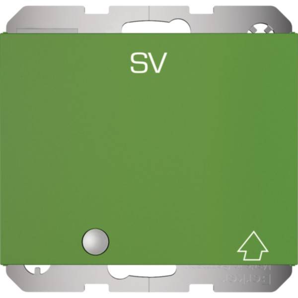 Berker SCHUKO-Steckdose gn-glanz m.Klappdeckel 41517113