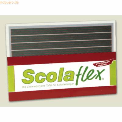Schülertafel Scolaflex L1A 265x180mm grün