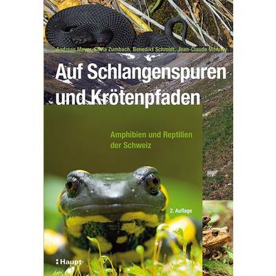 Auf Schlangenspuren und Krötenpfaden | Haupt Verlag | Andreas Meyer; Silvia Zumbach; Benedikt R. Schmidt; Jean-Claude