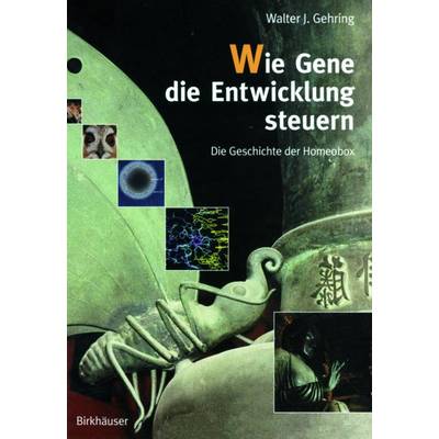 Wie Gene die Entwicklung steuern | Springer Basel | Walter J. Gehring