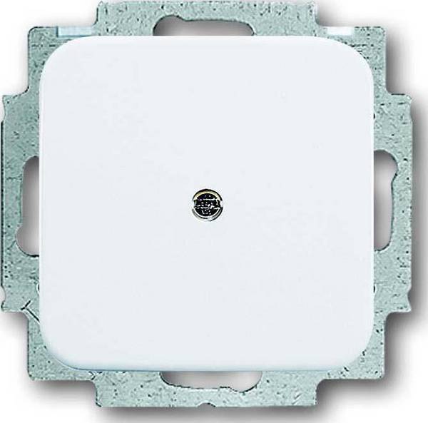 Busch-Jaeger Blindzentralscheibe aws 2538-214
