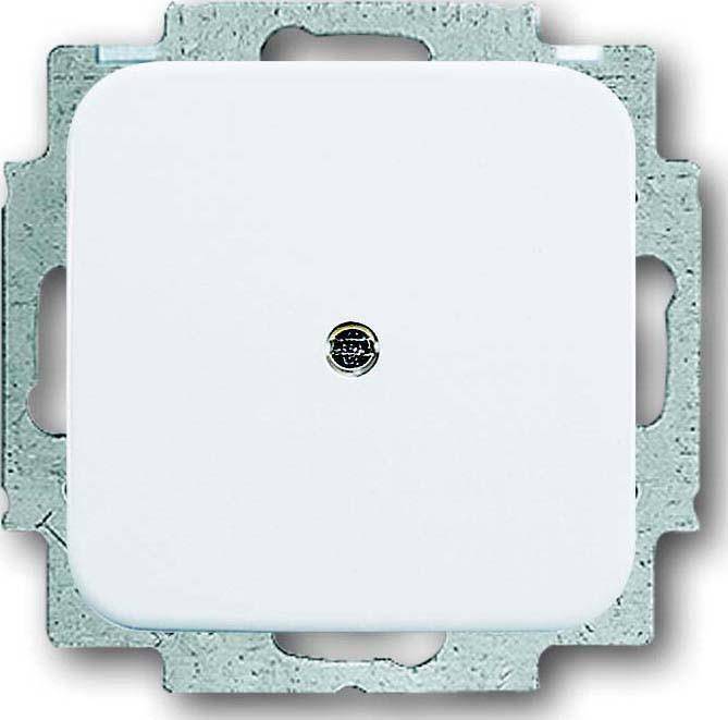 Busch-Jaeger Blindzentralscheibe aws 2538-214-0