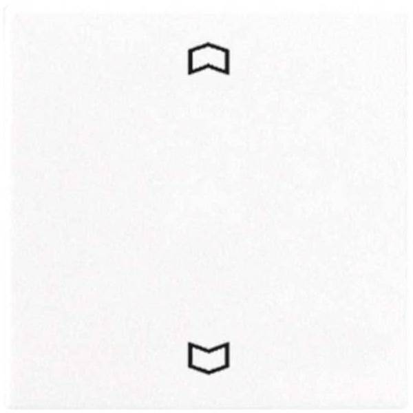 Jung Wippe Symbole aws A 590 P WW-0