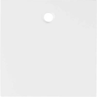 Berker Zentralstück pws/gl 11468989-0