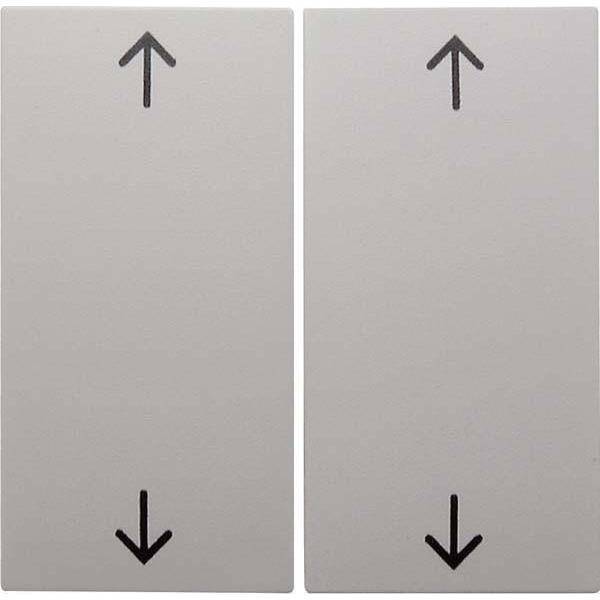 Berker 16448989, Grau, Duroplast, 10 Stück(e)-0