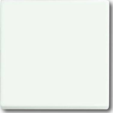 Busch-Jaeger Wippe stws mt 1786-884
