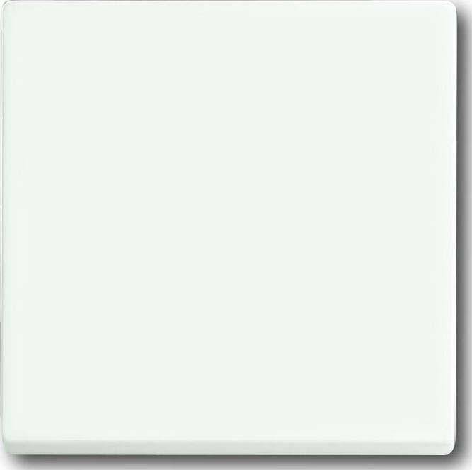 Busch-Jaeger Wippe stws mt 1786-884-0