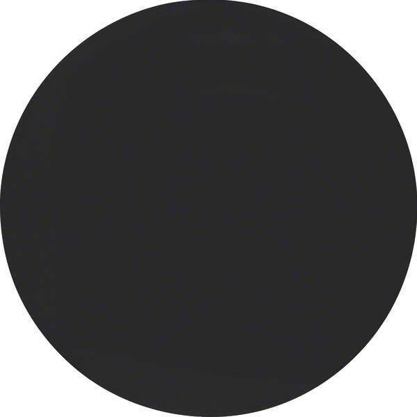 Berker Wippe 16202045 schwarz glänzend