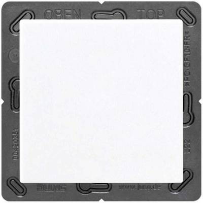 Jung Funk-Wandsender aws ENO A 590 WW-0