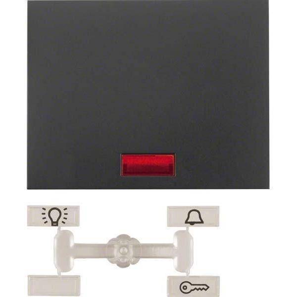 Berker 14157006, Anthrazit, Thermoplast, 10 Stück(e)-0