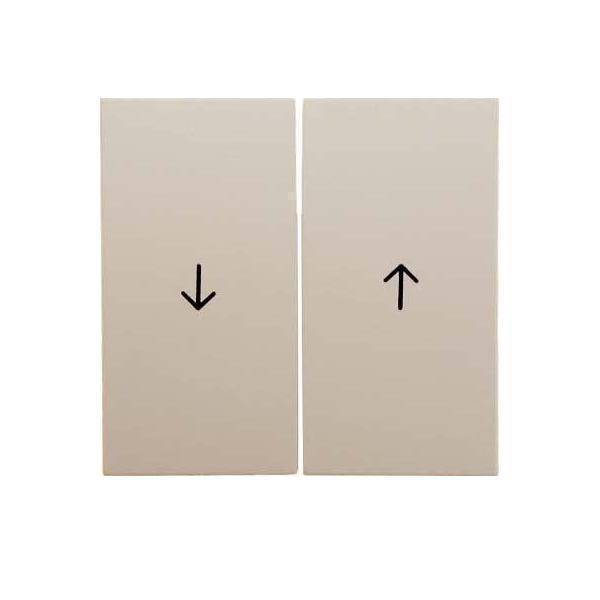 BERKER Wippen mit Aufdruck Symbol Pfeil wg 16258982