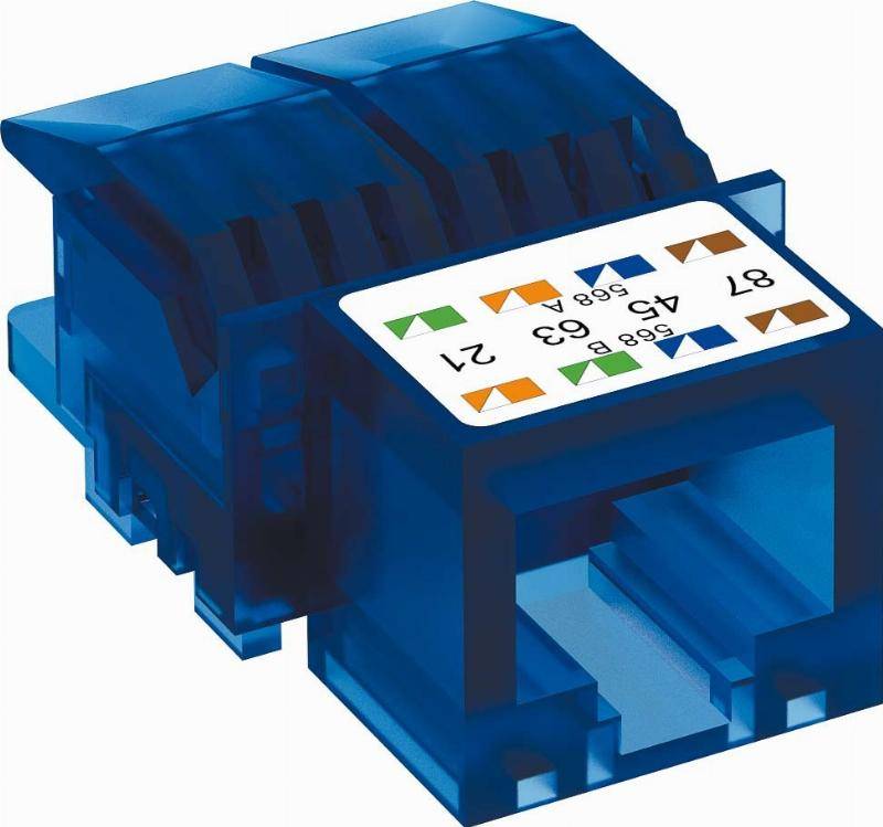 OBO Bettermann Anschlussmodul ASM-C6-0