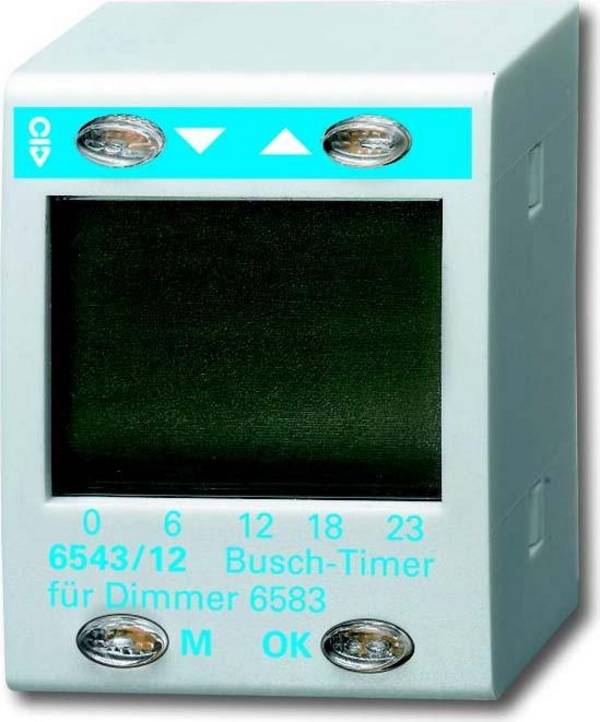 Busch-Jaeger Timer Bedienelement 6543/12