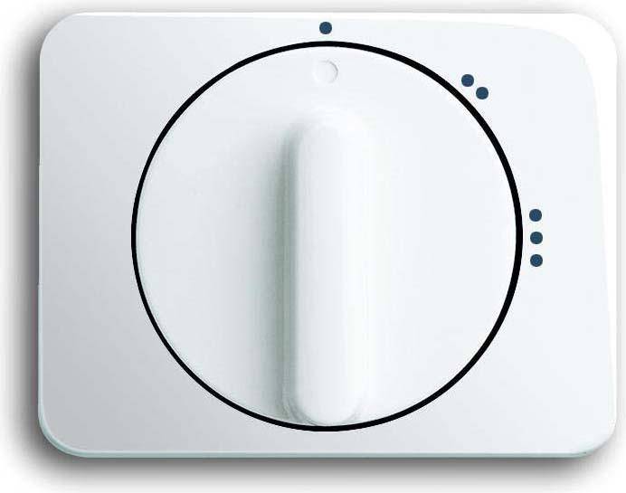 Busch-Jaeger Zentralscheibe stws gl 2542-0
